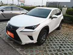 2020 Lexus NX 200 4WD Fashion China VI, белый — фото 1