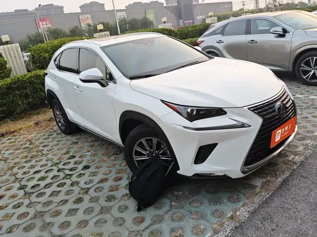 2020 Lexus NX 200 4WD Fashion China VI