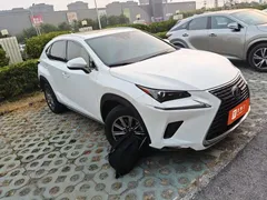 2020 Lexus NX 200 4WD Fashion China VI, белый — фото 2