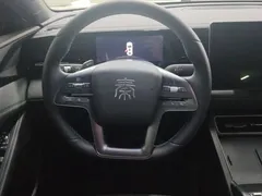 2025 BYD Qin L EV 470km Leading — фото 15