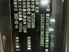 2021 Changan Raeton PLUS Blue Whale 1.5T DCT Luxury — фото 18