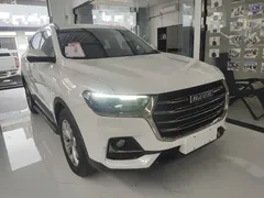 2021 Haval H6 1.5GDIT AT Guochao Champion, белый — фото 4