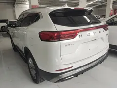 2021 Haval H6 1.5GDIT AT Guochao Champion, белый — фото 5