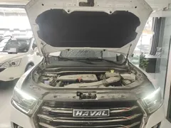 2021 Haval H6 1.5GDIT AT Guochao Champion, белый — фото 20