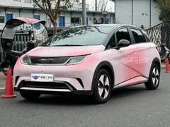 2023 BYD Dolphin 420km Fashion — фото 1