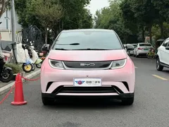 2023 BYD Dolphin 420km Fashion — фото 2