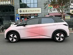2023 BYD Dolphin 420km Fashion — фото 3
