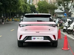 2023 BYD Dolphin 420km Fashion — фото 5