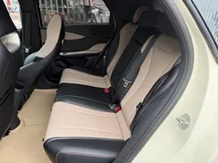 2023 BYD Dolphin 420km Fashion — фото 11