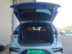 2023 BYD Tang DM-i PHEV Champion 112km Premium, синий — фото 19