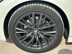 2021 BMW 3 Series 325Li M Sport Night Package, белый — фото 20