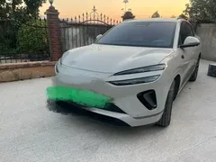 2025 BYD Sealion 06 EV 520 Pilot — фото 1