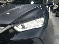 2023 BYD Song Pro DM-i PHEV 110KM Champion — фото 24