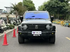 2021 Tank 300 Off-road 2.0T Conqueror — фото 2