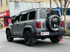 2021 Tank 300 Off-road 2.0T Conqueror — фото 4