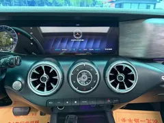 2021 Tank 300 Off-road 2.0T Conqueror — фото 10