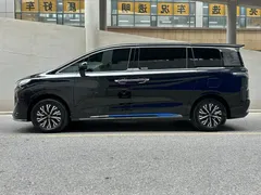 2024 Hongqi HQ9 2.0T PHEV 4WD Business, чёрный — фото 3