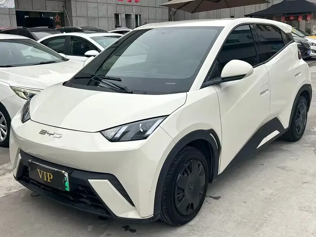 2024 BYD Seagull Honor 305km Vitality