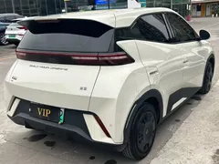 2024 BYD Seagull Honor 305km Vitality, белый — фото 9