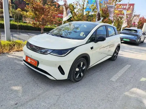 2025 BYD Dolphin Smart Driving 410km Fashion