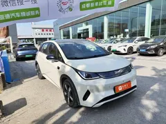 2025 BYD Dolphin Smart Driving 410km Fashion — фото 2