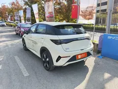 2025 BYD Dolphin Smart Driving 410km Fashion — фото 3