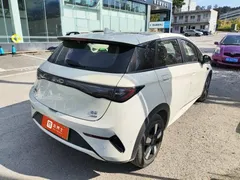 2025 BYD Dolphin Smart Driving 410km Fashion — фото 4