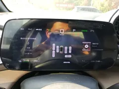 2025 BYD Dolphin Smart Driving 410km Fashion — фото 8
