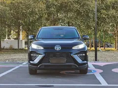 2020 Toyota Wildlander 2.0L CVT 2WD Leading, чёрный — фото 2