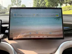2024 BYD Song Pro Glory Edition DM-i PHEV 110km — фото 10