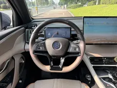 2024 BYD Song Pro Glory Edition DM-i PHEV 110km — фото 14