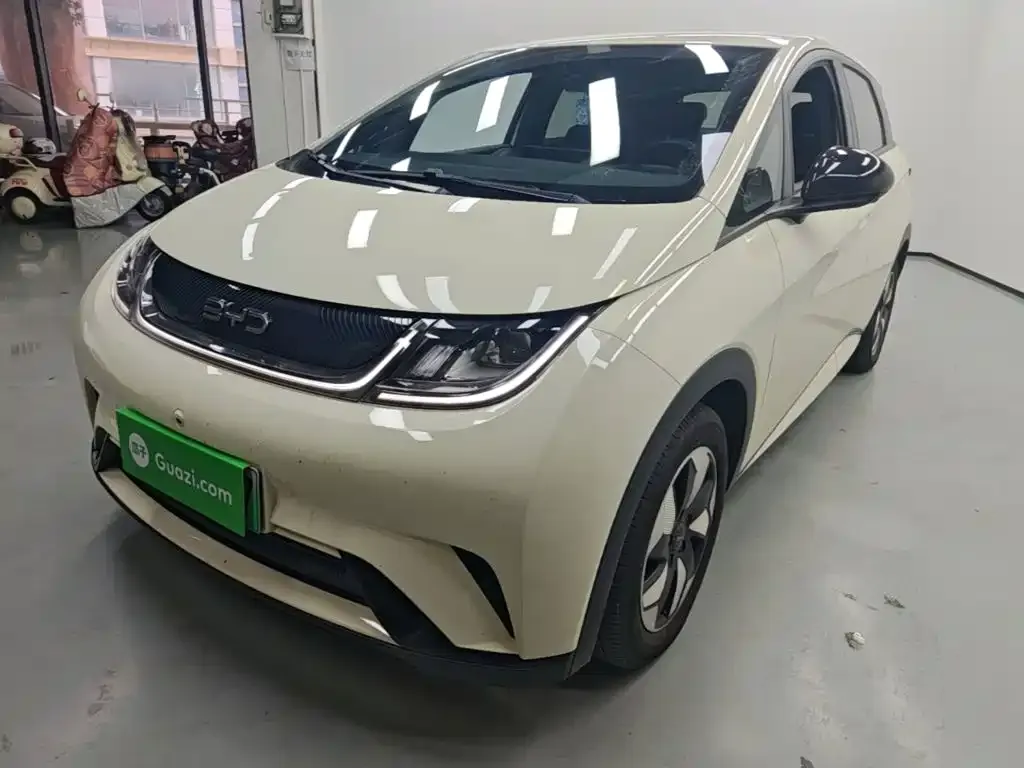 2025 BYD Dolphin 420km Freedom