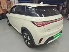 2025 BYD Dolphin 420km Freedom — фото 5