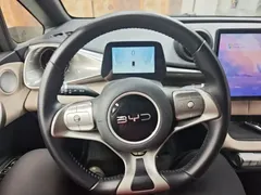 2025 BYD Dolphin 420km Freedom — фото 11