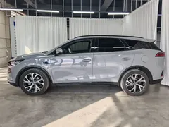 2025 BYD Tang DM-i PHEV 115KM Premium — фото 7
