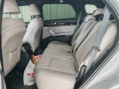 2025 BYD Tang DM-i PHEV 115KM Premium — фото 9