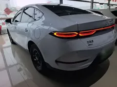 2025 BYD Qin PLUS DM-i PHEV Smart Driving 55km Leading, белый — фото 5