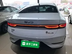 2025 BYD Qin PLUS DM-i PHEV Smart Driving 55km Leading, белый — фото 6