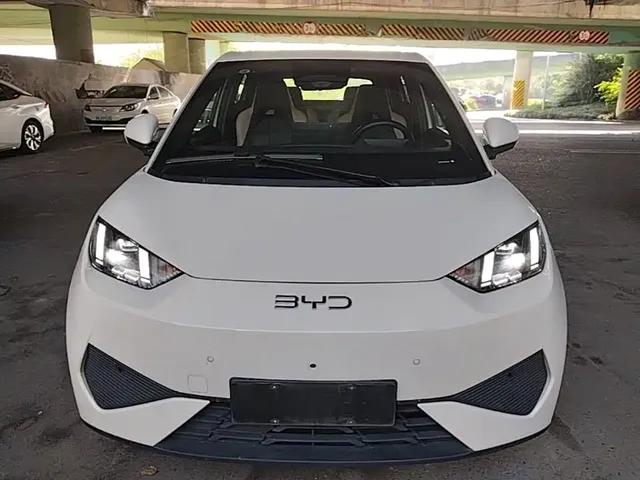 2025 BYD Seagull 405km Flying Smart Driving