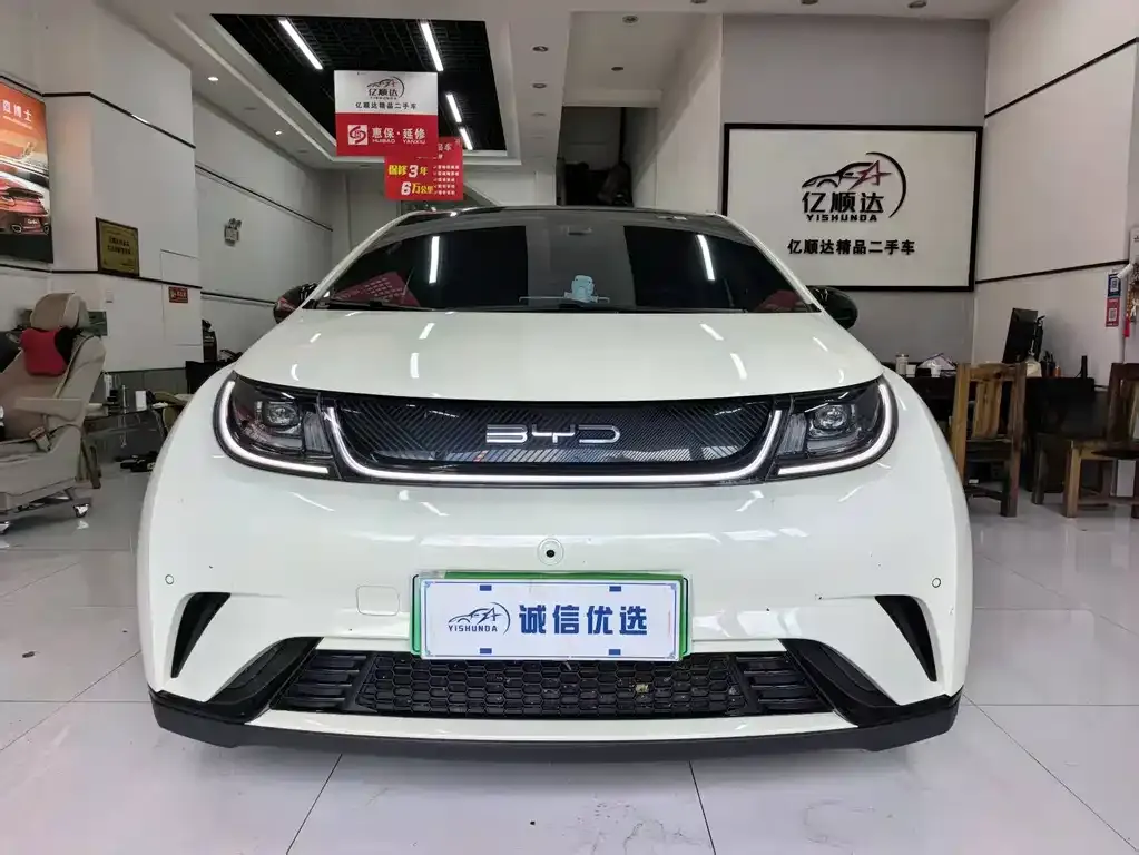 2024 BYD Dolphin Honor 420km Fashion
