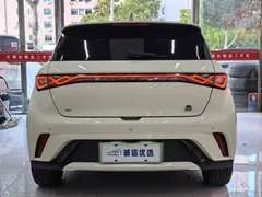 2024 BYD Dolphin Honor 420km Fashion, белый — фото 11
