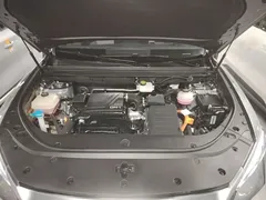 2023 BYD Song Pro Champion DM-i PHEV 110KM Excellence — фото 20