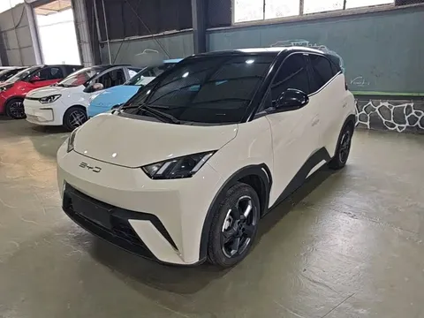 2023 BYD Seagull Flying