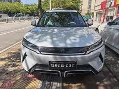 2024 BYD Yuan UP 401km Leading — фото 2