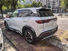 2024 BYD Yuan UP 401km Leading — фото 3