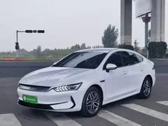 2024 BYD Qin PLUS Honor EV 510km Leading, белый — фото 2