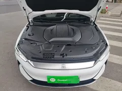 2024 BYD Qin PLUS Honor EV 510km Leading, белый — фото 16