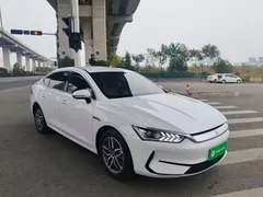 2024 BYD Qin PLUS Honor EV 510km Leading, белый — фото 22