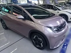2021 BYD Dolphin 405km Fashion, чёрный — фото 4