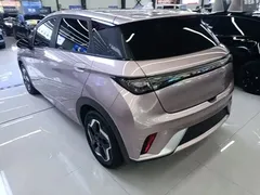 2021 BYD Dolphin 405km Fashion, чёрный — фото 5